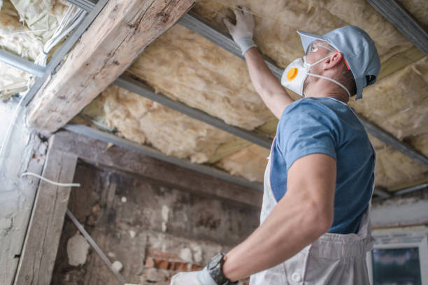 Best Insulation Maintenance and Repair in Fairview Park, OH